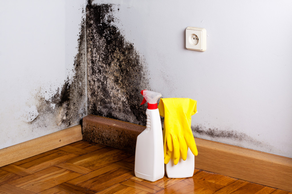 Mold in corner of room